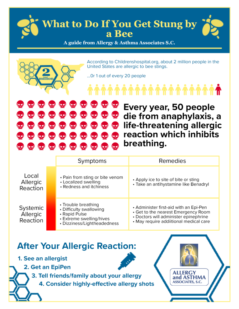 After An Allergic Reaction To A Bee Sting Allergy Asthma Associates   BeeStingFinal 768x994 